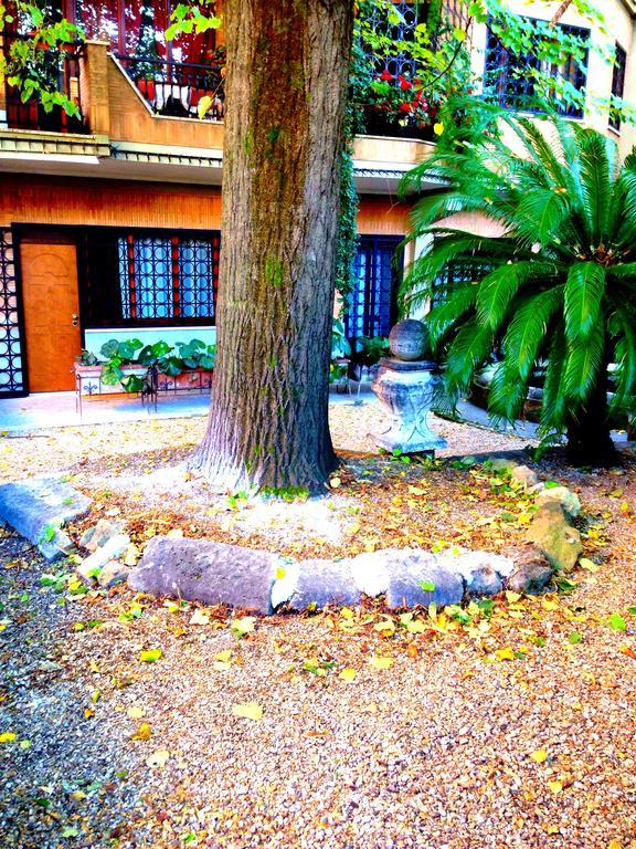 Vatican House Apartment Roma Camera foto